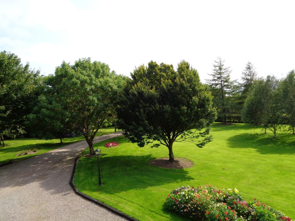 Dunrine Redwood Bed & Breakfast エクステリア 写真