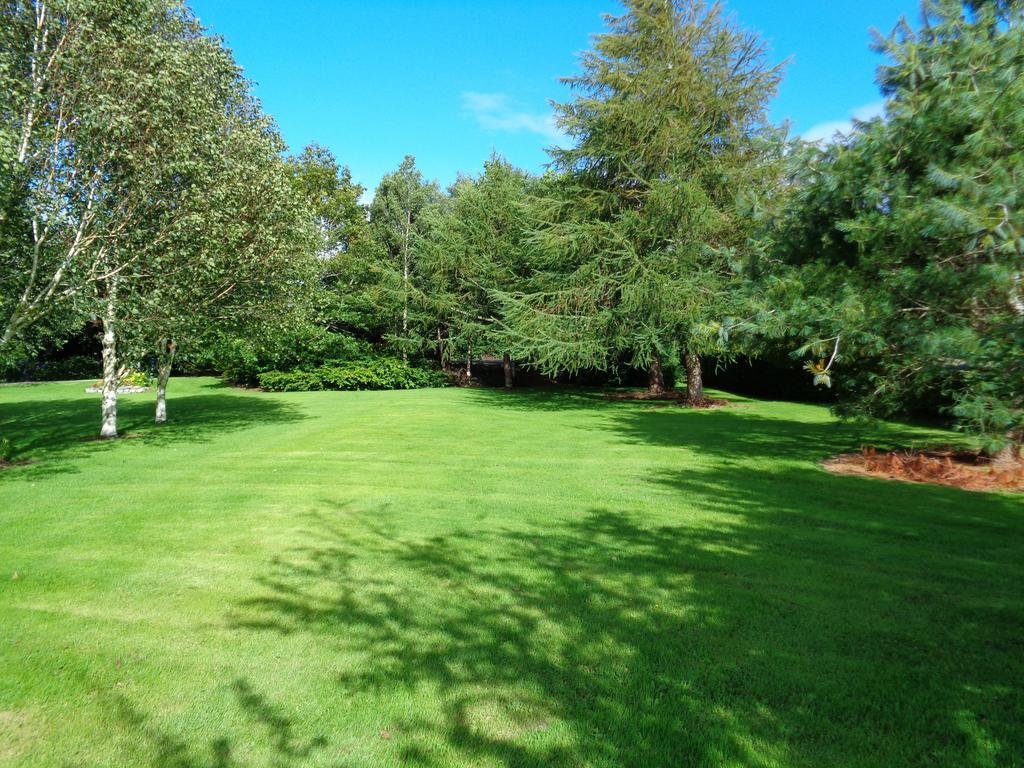 Dunrine Redwood Bed & Breakfast エクステリア 写真